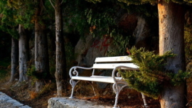 le petit banc