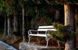 le petit banc