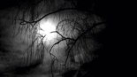 la mort
