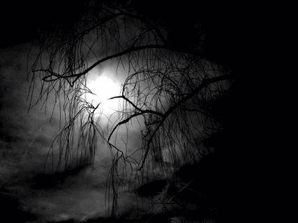 la mort