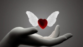 voleur de coeur
